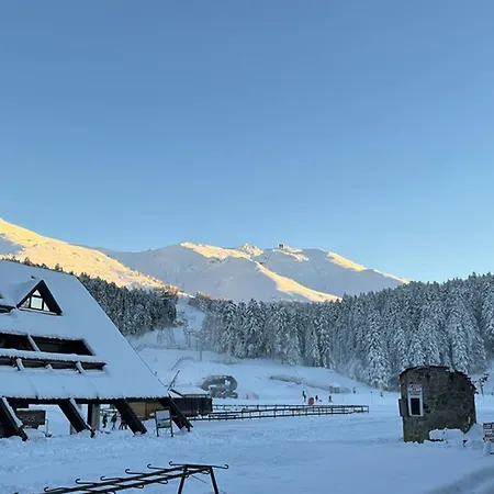 Apartment Agreable T2 Au Pied Des Pistes Avec Piscine Estivale, Parking, Et Animaux Bienvenus - Fr-1-787-31 *